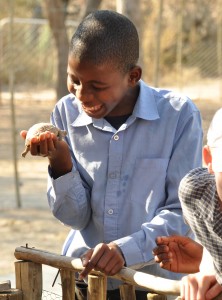 Taking the children to a wildlife sanctuary